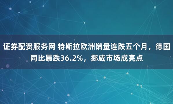 证券配资服务网 特斯拉欧洲销量连跌五个月，德国同比暴跌36.2%，挪威市场成亮点