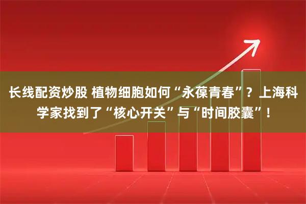 长线配资炒股 植物细胞如何“永葆青春”？上海科学家找到了“核心开关”与“时间胶囊”！